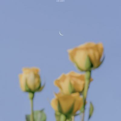 唱舞全明星破解版下载