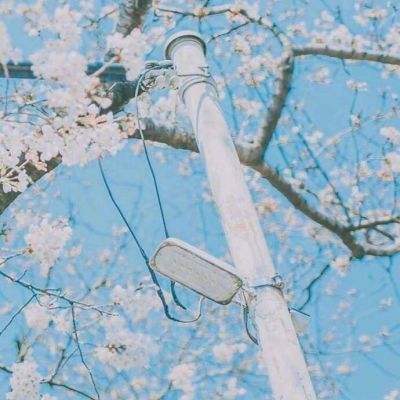 太古仙帝官方版下载